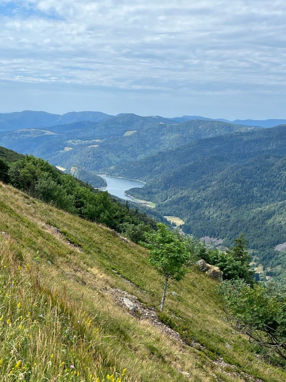 Motorradfahren in Vogesen, Frankreich